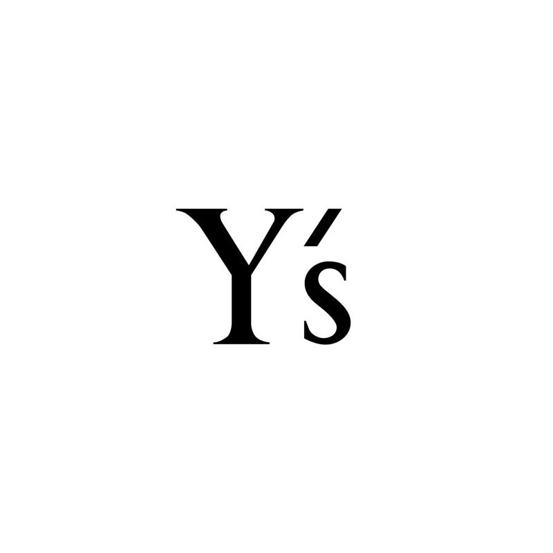 Y's