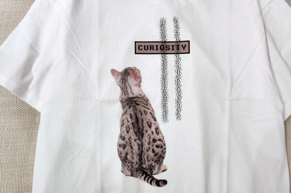 Curiosity Killed the Cat