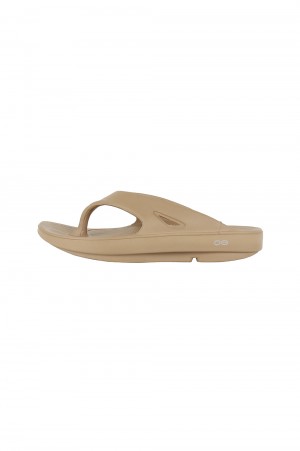 oofos taupe