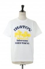 IC-T001-WHITE-