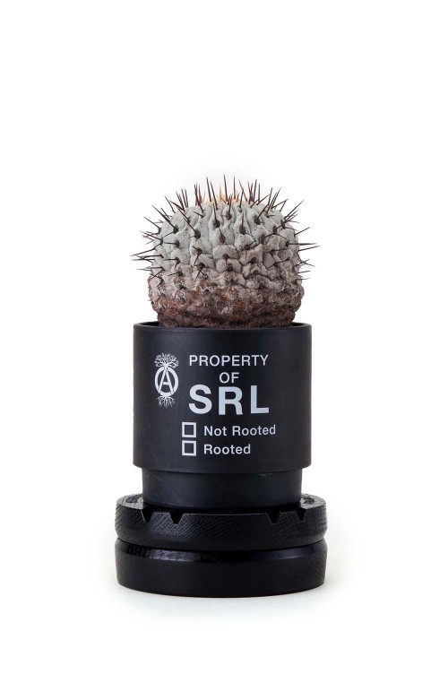 NH X LFE . ROTARY WOODSTAND / BLACK (231OWLON-AC03) | セレクト 