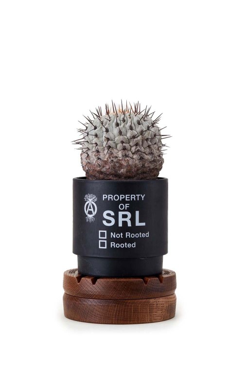 NEIGHBORHOOD NH X LFE . ROTARY WOODSTAND