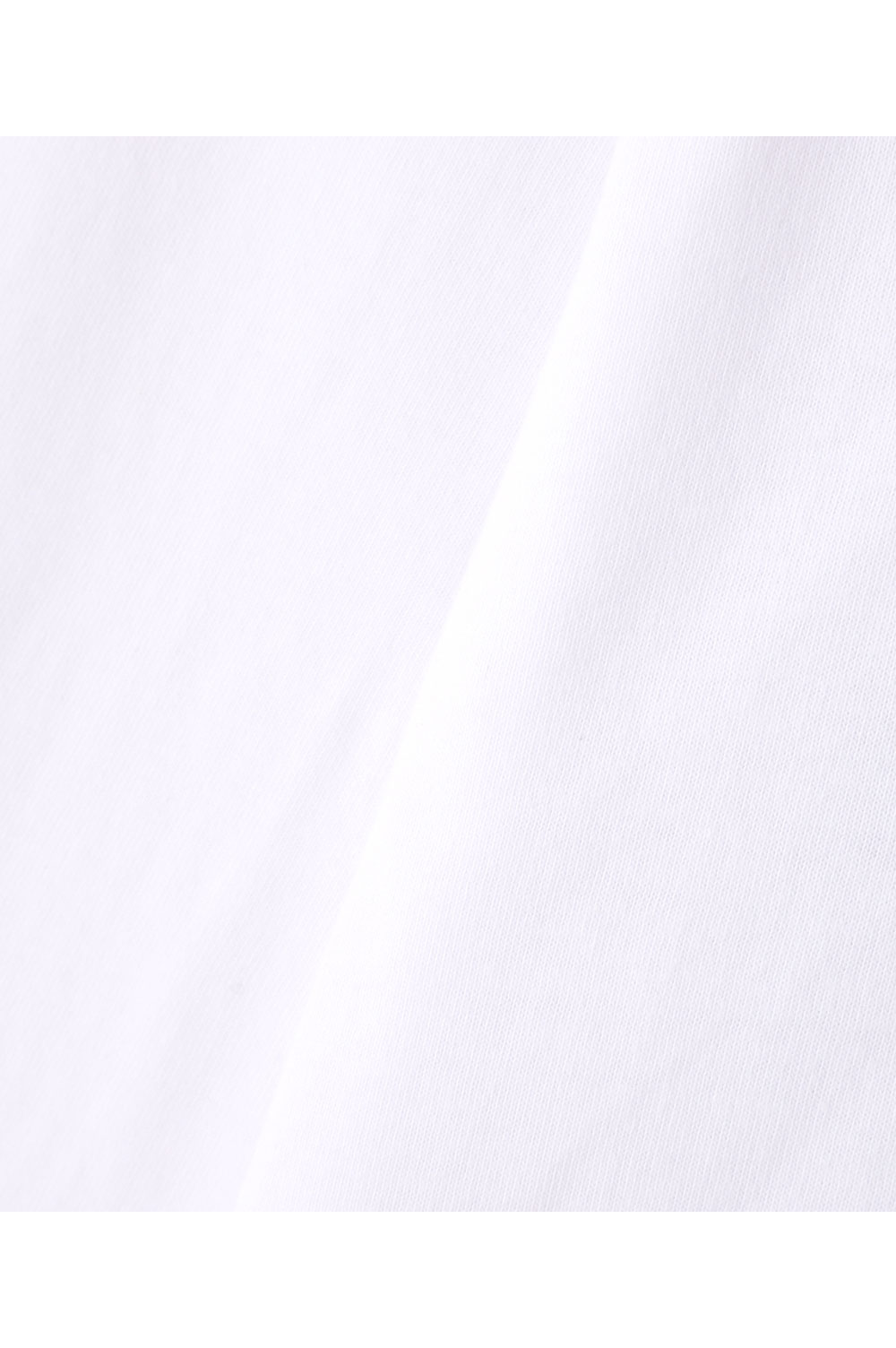 Schott x NEIGHBORHOOD LS T-SHIRT / WHITE (SCHC-H-055 Schott x NEIGHBORHOOD LS T-SHIRT / WHITE (SCHC-H-055