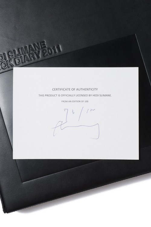 Hedi Slimane x Stie-lo ROCK DIARY2011 Skull / BLK (STLHEDI01