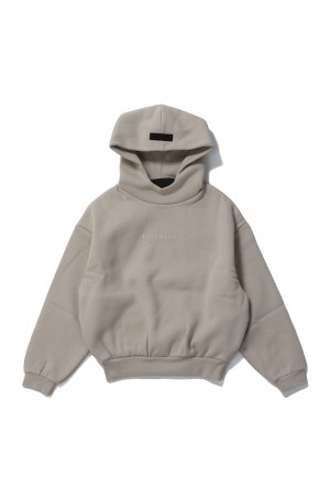Essential Hoodie -Silver Cloud(785BT232042K)