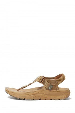 mguu - COYOTE (25.0cm~)