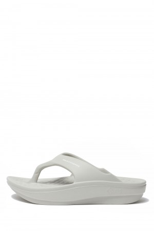 FlipFlop 2.0 - GRAY (24.0cm~)