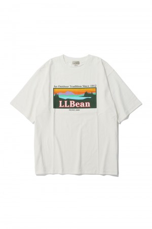 Morrill Short - Sleeve Katahdin Logo Tee - WHITE (4275-6064)