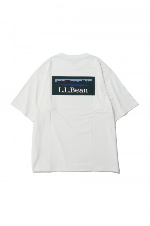 Bean's Back Katahdin T - OFF WHITE (4275-6068)