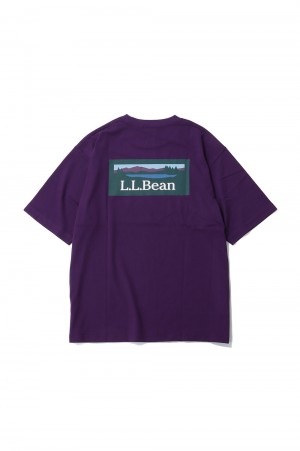 Bean's Back Katahdin T - PLUM (4275-6068)