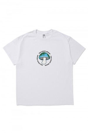SHROOM TEE / WHITE (CLG-TS 024-009)