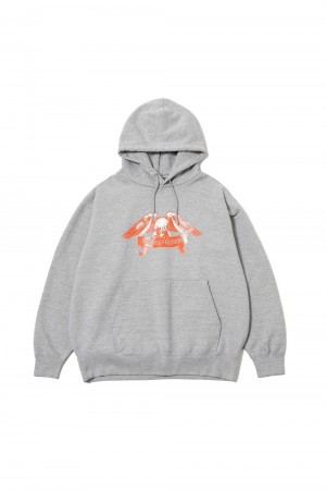 SWEAT HOODED FREEDOM WASH / HEATHER