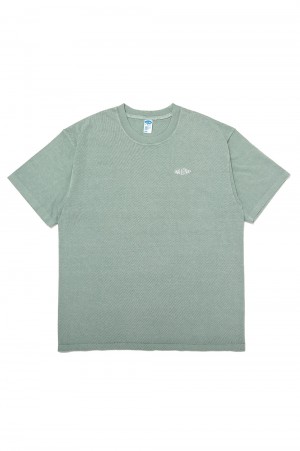 PIGMENT LOGO TEE / MINT (CLG-TS 025-011)