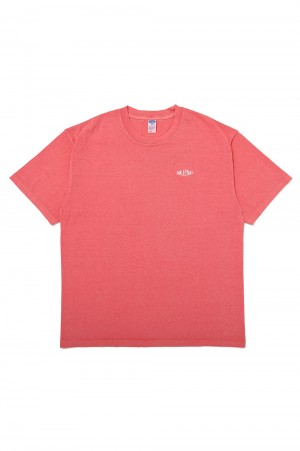 PIGMENT LOGO TEE / LT CHERRY (CLG-TS 025-011)