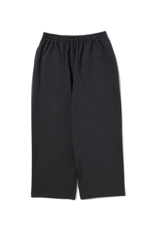 Chubby Sweat Wide Easy Pants - Gray (CTE-25A121)