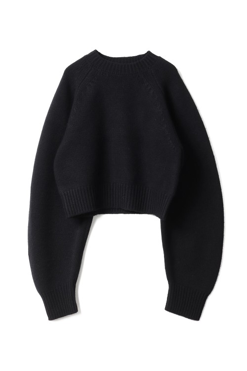 Wool 100% Raglan Knit - BLACK (12520520) | セレクトショップ