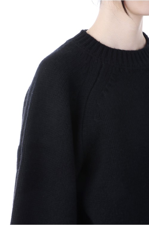 Wool 100% Raglan Knit - BLACK (12520520) | セレクトショップ