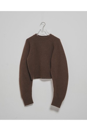 Wool 100% Raglan Knit - BROWN (12520520)