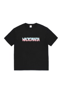 WASHED HEAVY WEIGHT CREW NECK T-SHIRT ( TYPE-9 ) / BLACK (26SS-WMT-WT10)