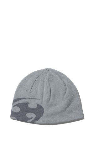 LOGO BEANIE - LIGHT GREY ( SG26SSACBN101)