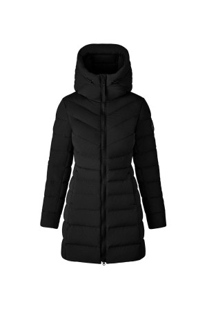 Clair Coat - BD - Black (2331WB)